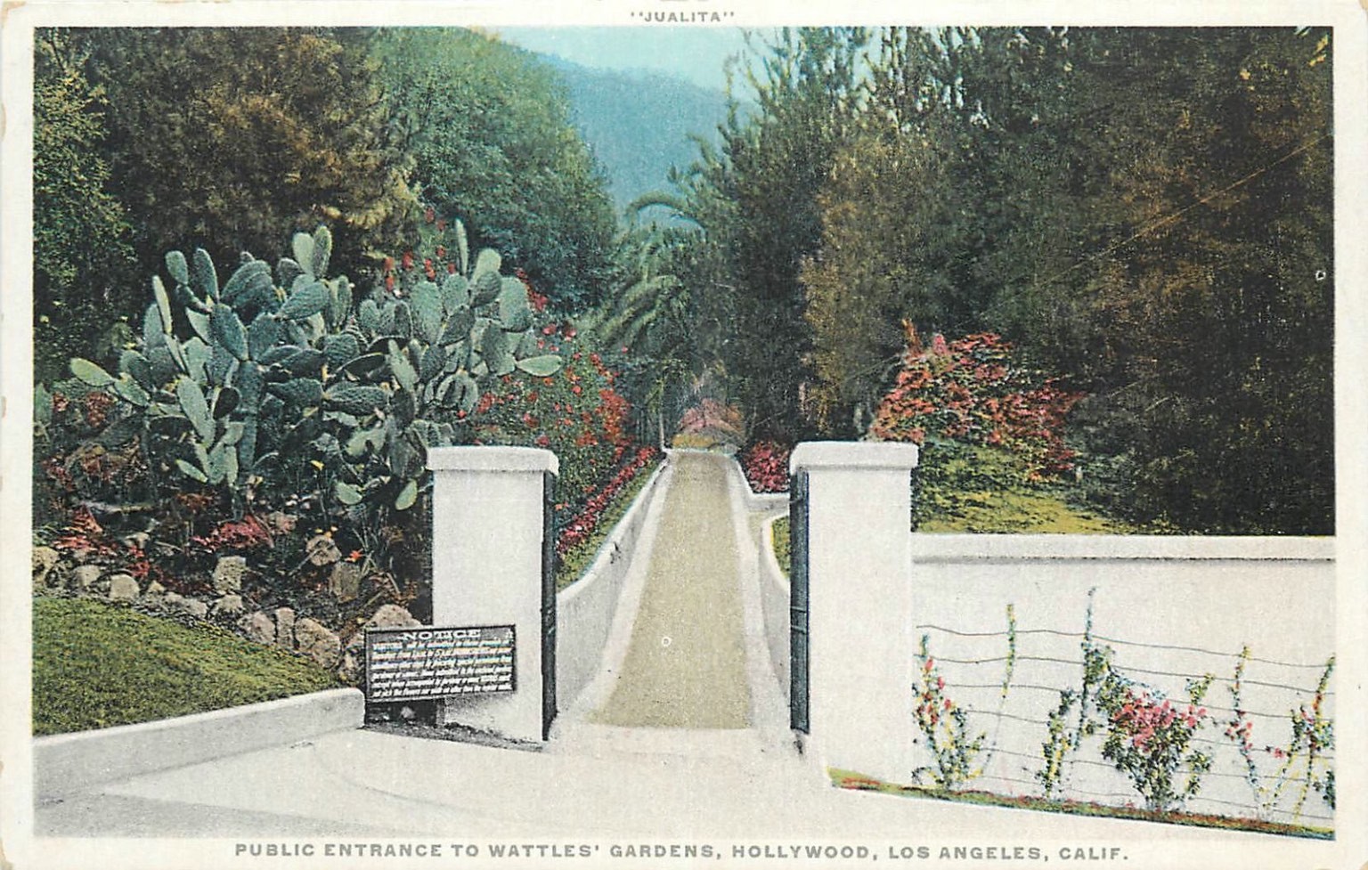 Vintage Phostint Postcard Wattles\' Gardens Hollywood Los Angeles California