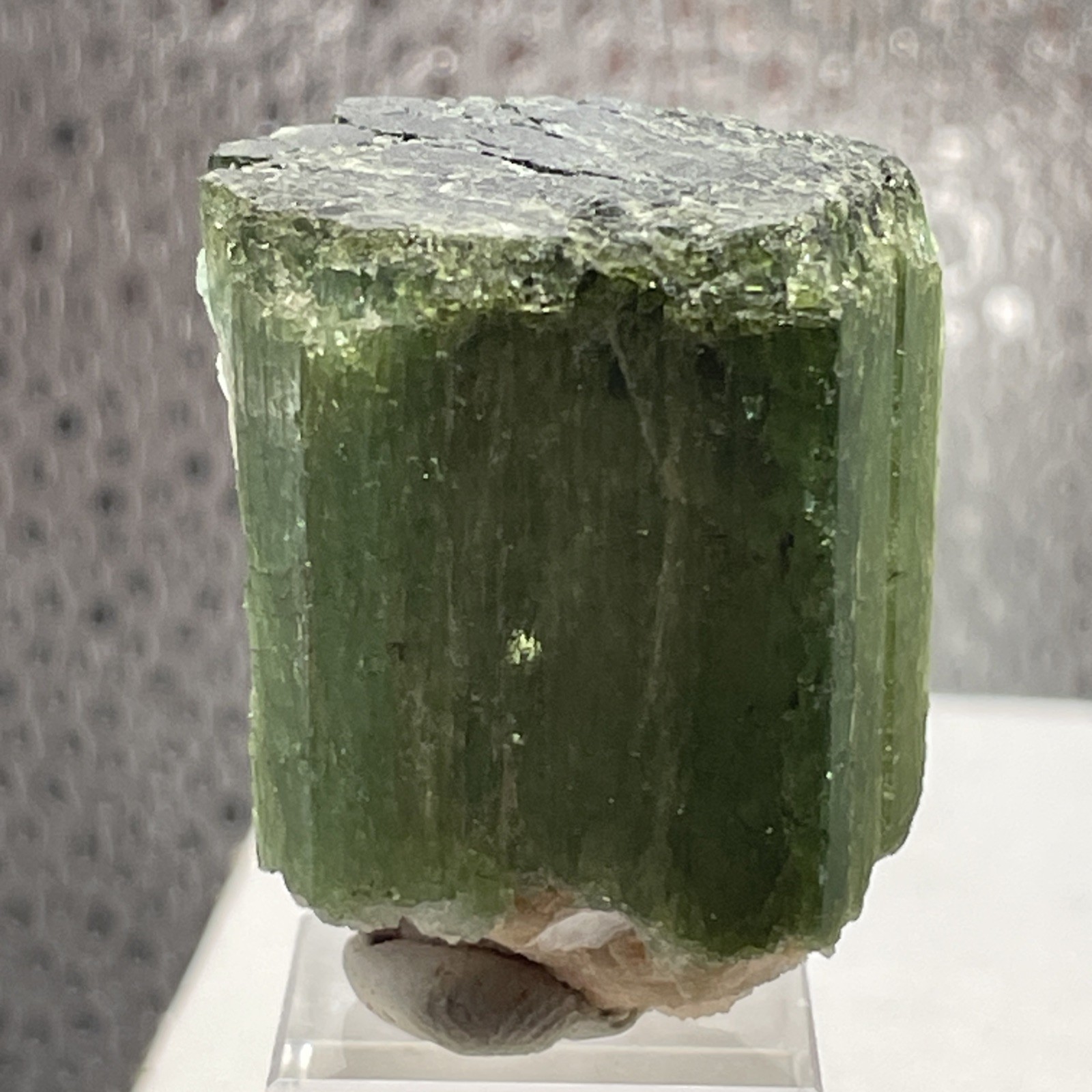 BEAUTIFUL WATERMELON TOURMALINE MINIATURE-HIMALAYA MINE,PALA,CALIFORNIA 