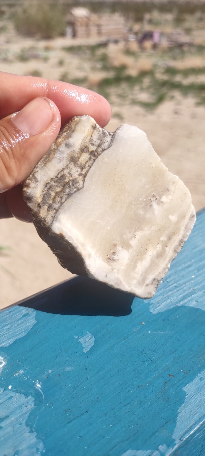 Lapidary Thick Chunky Silver Lace Onyx Slab Ready To Can Or Collect