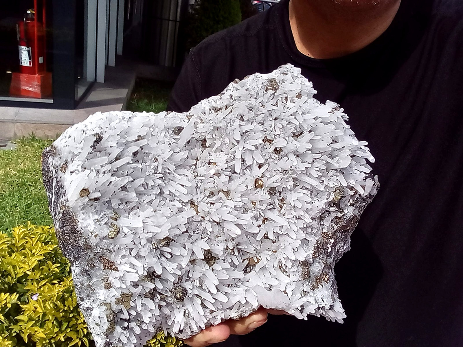HUGE 8-LBS  CHALCOPYRITE QUARTZ PYRITE CRYSTAL QUARTZ