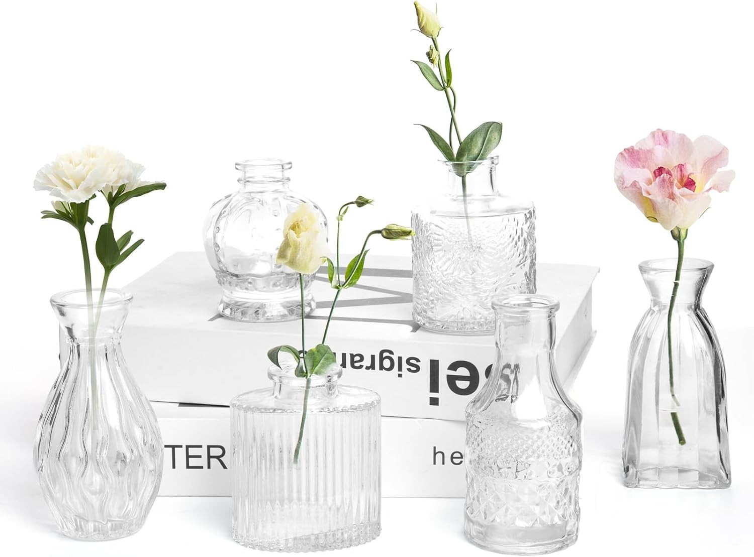 Petal Petite Glass Vase Set of 12 Small Clear Glass Bud Vases,Mini Vintage Flowe