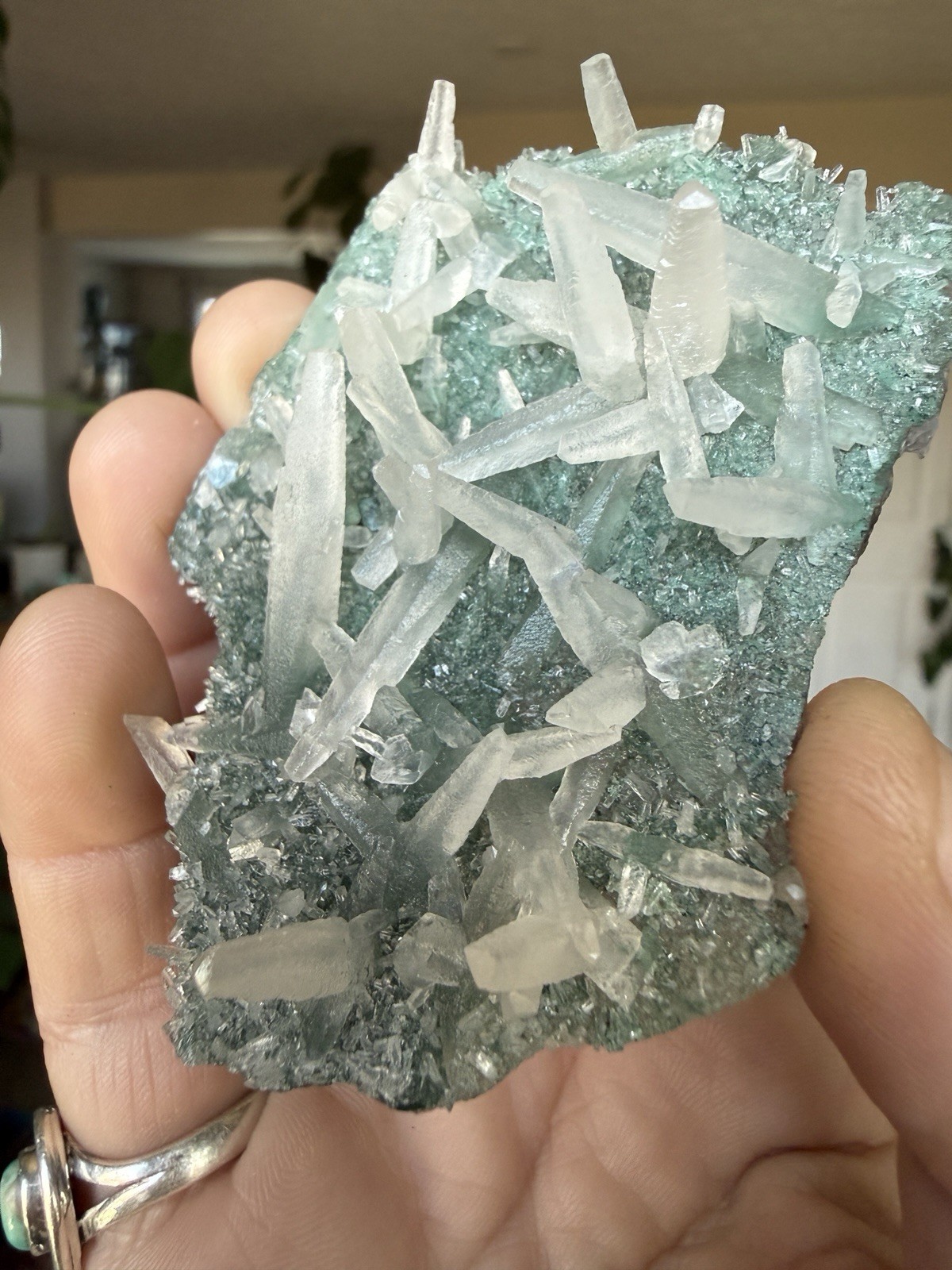 RARE DOUBLE Sided Calcite On Green Celedonite- Irai Brazil-All Terminated