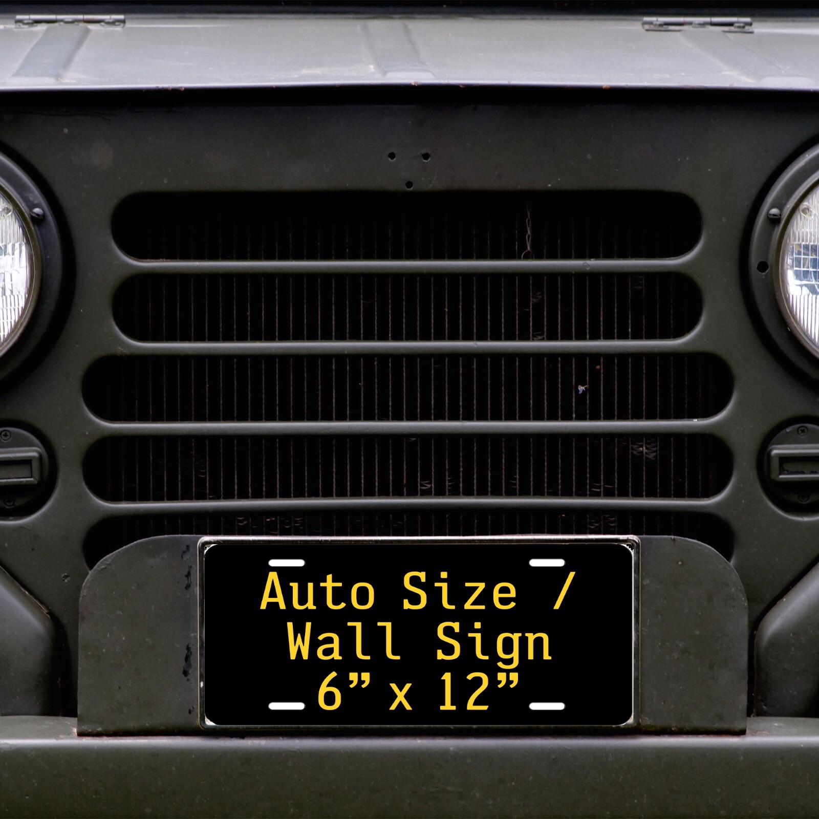 Colima 2010 Mexico Custom License Plate Novelty Auto ATV Motorcycle MOPED bike