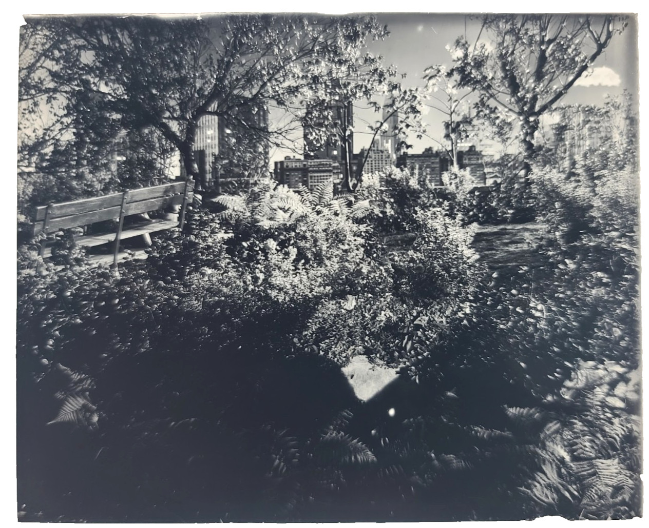 c. 20s 30s NEW YORK CITY NTY GLASS SLIDE Vtg Photo CENTRAL PARK OOAK