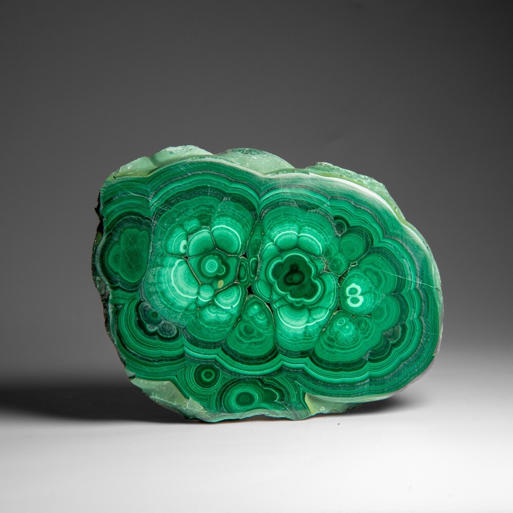 Genuine Polished Malachite Stalactite Slice (1.6 lbs)