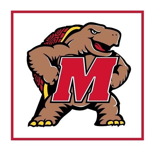 C161 University of Maryland Terrapins Football Team Logo Refrigerator Magnet