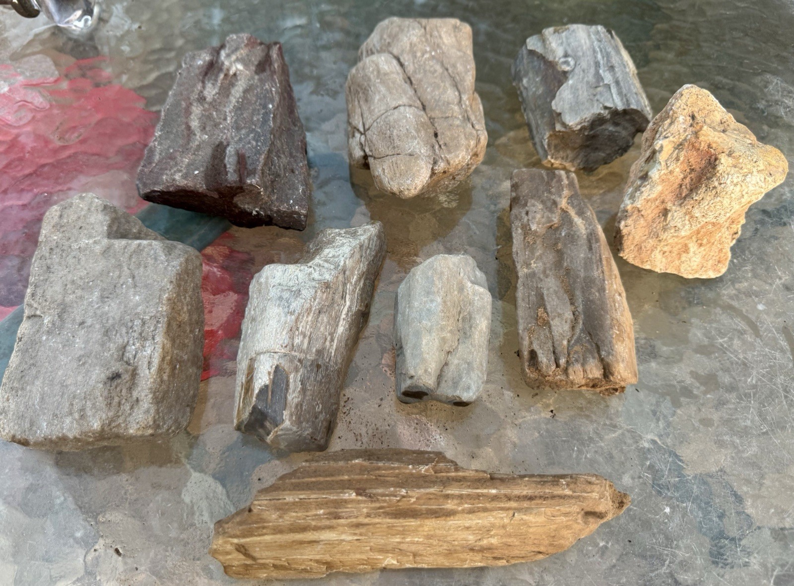 DELIGHTFUL* 9pc~7.45# Lot Of Petrified Fossil Wood~Perfectly Replicated Details