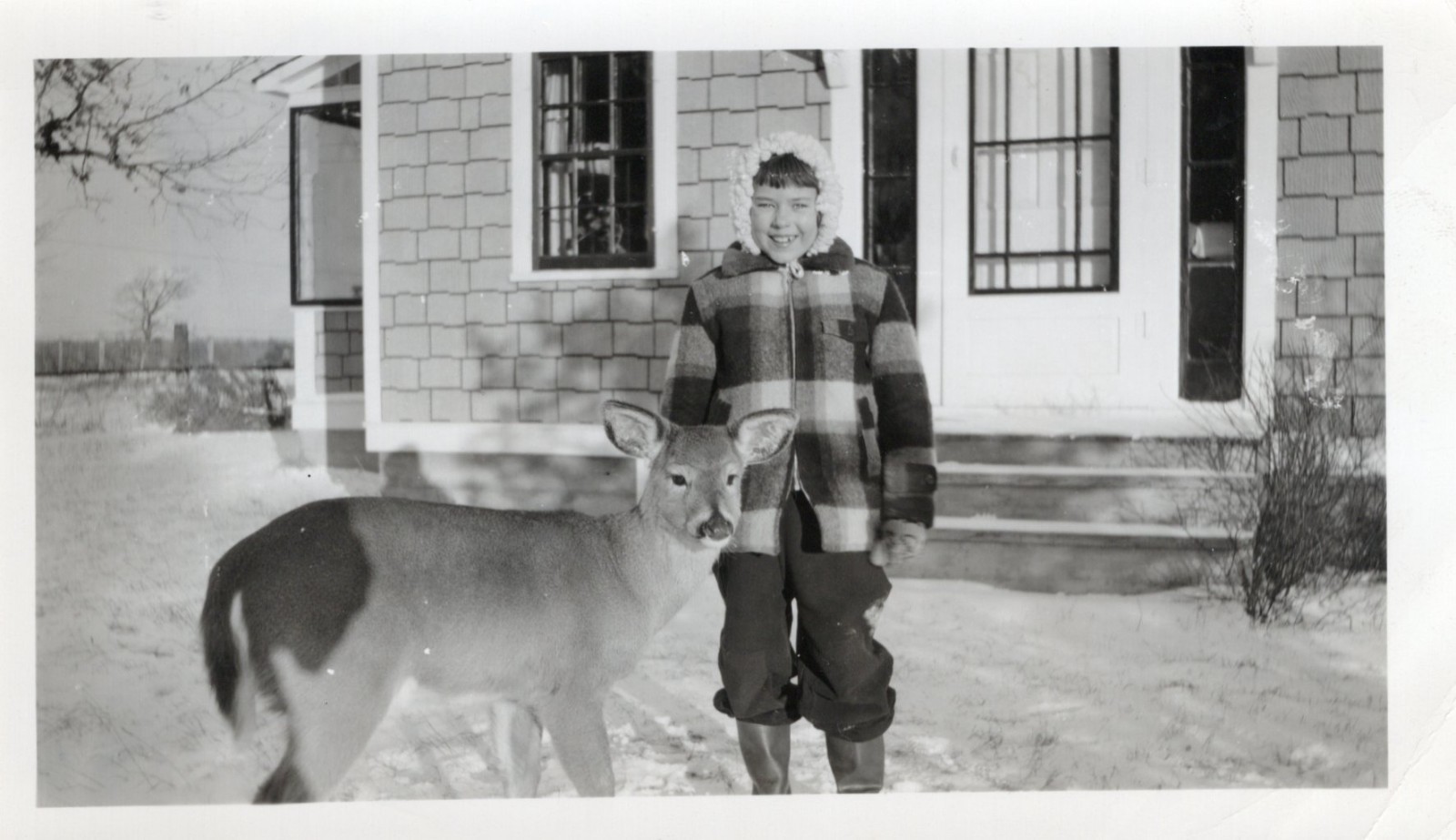 Vtg Jan 1950 Photo Snapshot of 8 Yr Old Dianna w Her Pet Deer Babe Mcm Snow Girl