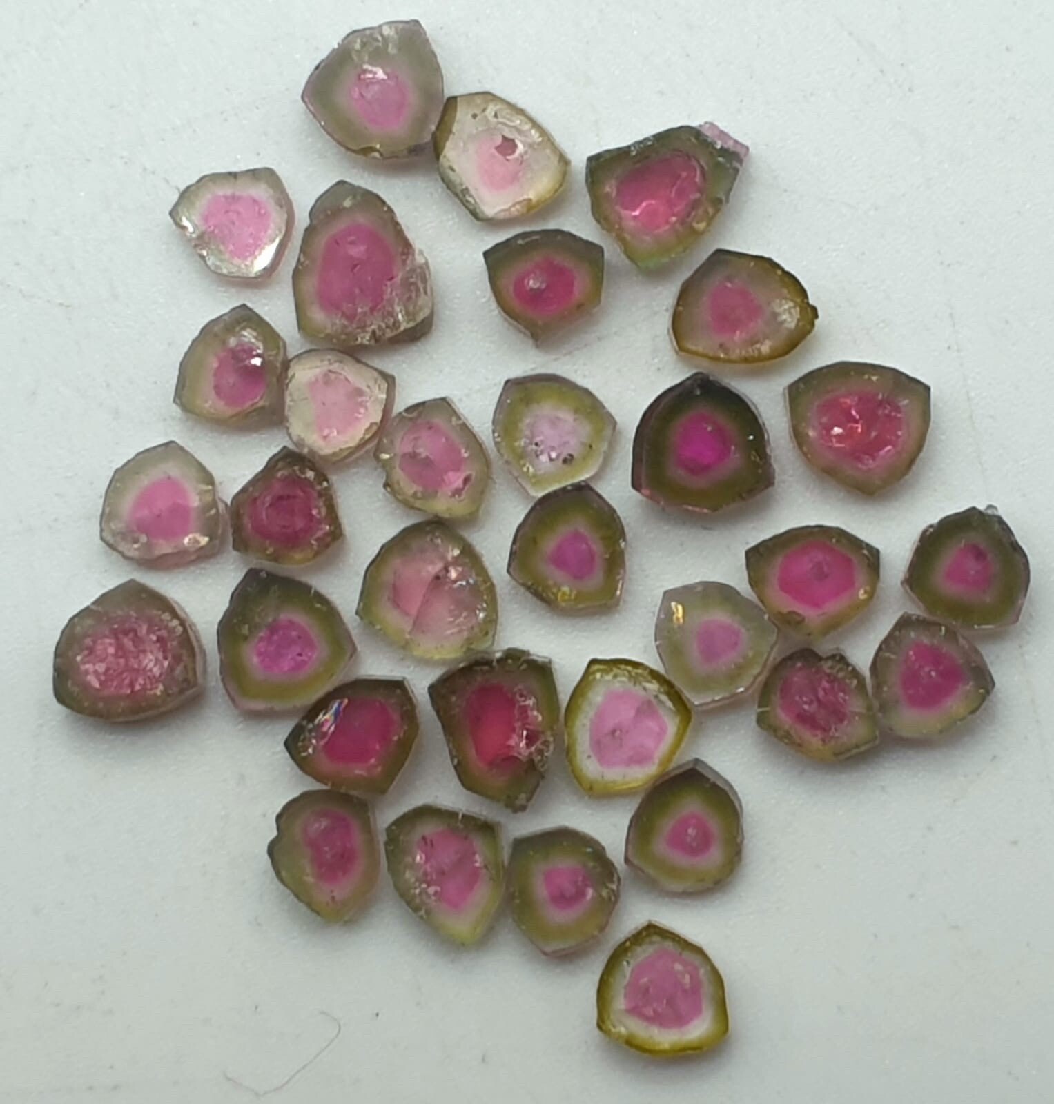 35.5cts Beautiful Watermelon Tourmaline Slices Parcel From Afghanistan
