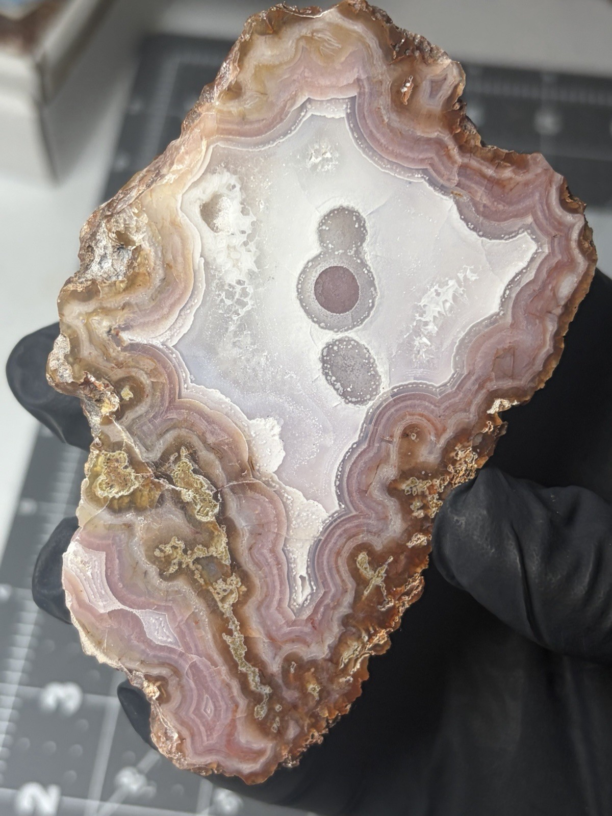 High grade Agua Neuva Face Polished Agate Laguna Banded Mexico 