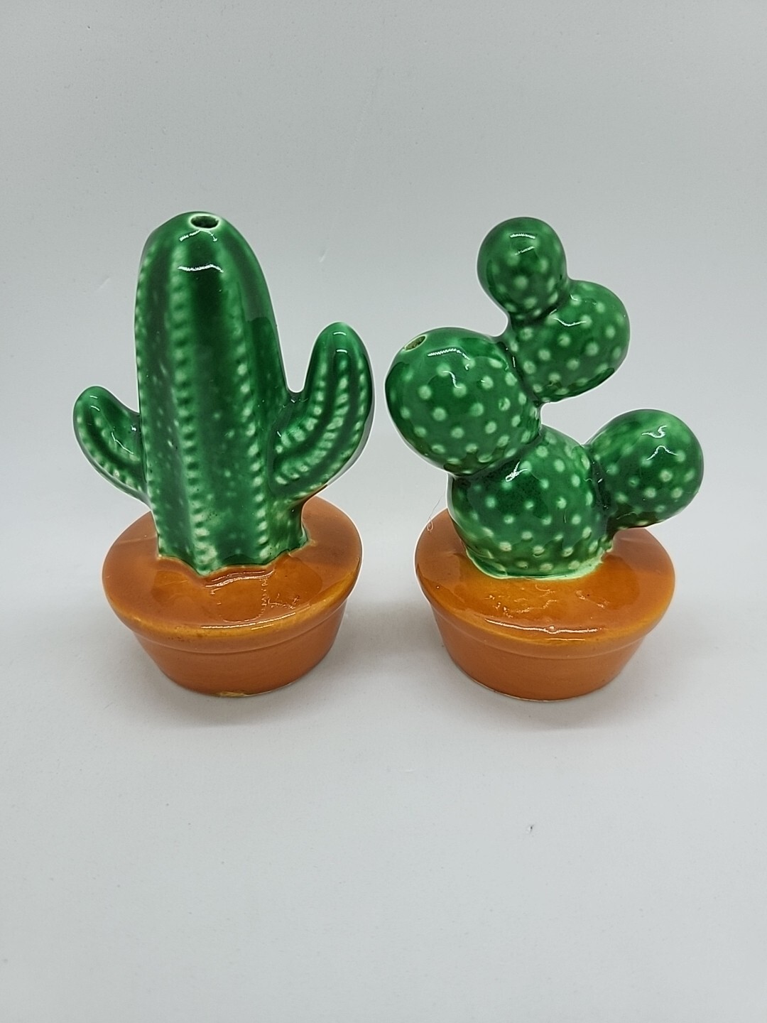 Ceramic Desert Cactus Salt and Pepper Shakers