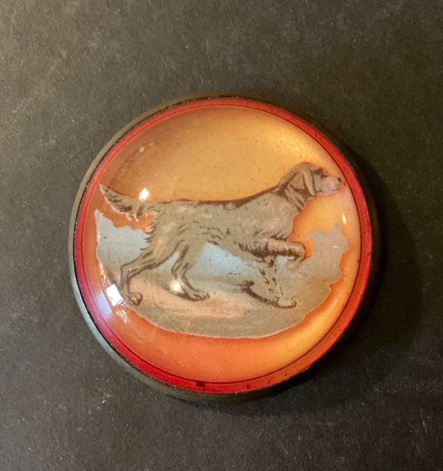 Antique Vtg Horse Bridal Pin Glass Brass Dog Button Setter Irish English Gordon