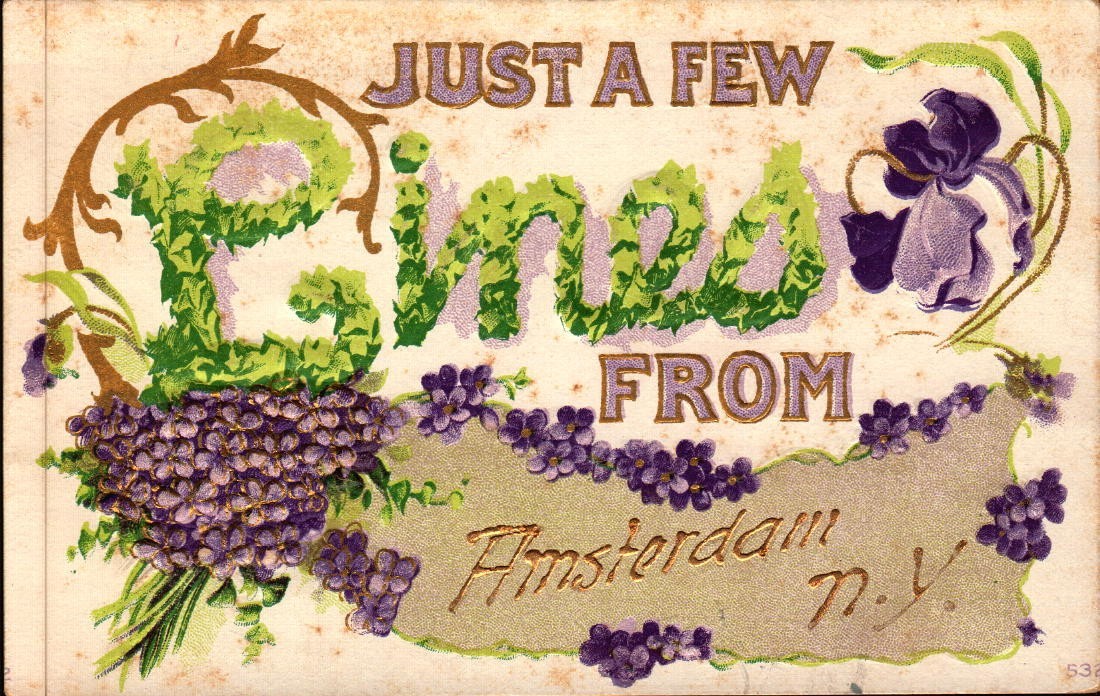 Embossed Antique Postcard A Few Lines From Amsterdam  NY  1909