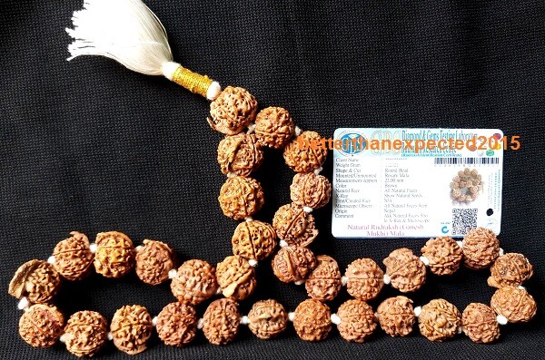 GANESHA GANESH RUDRAKSHA OM KANTHA GANPATI TRUNK POWER SIDDHA MALA ~NEPAL~LAB