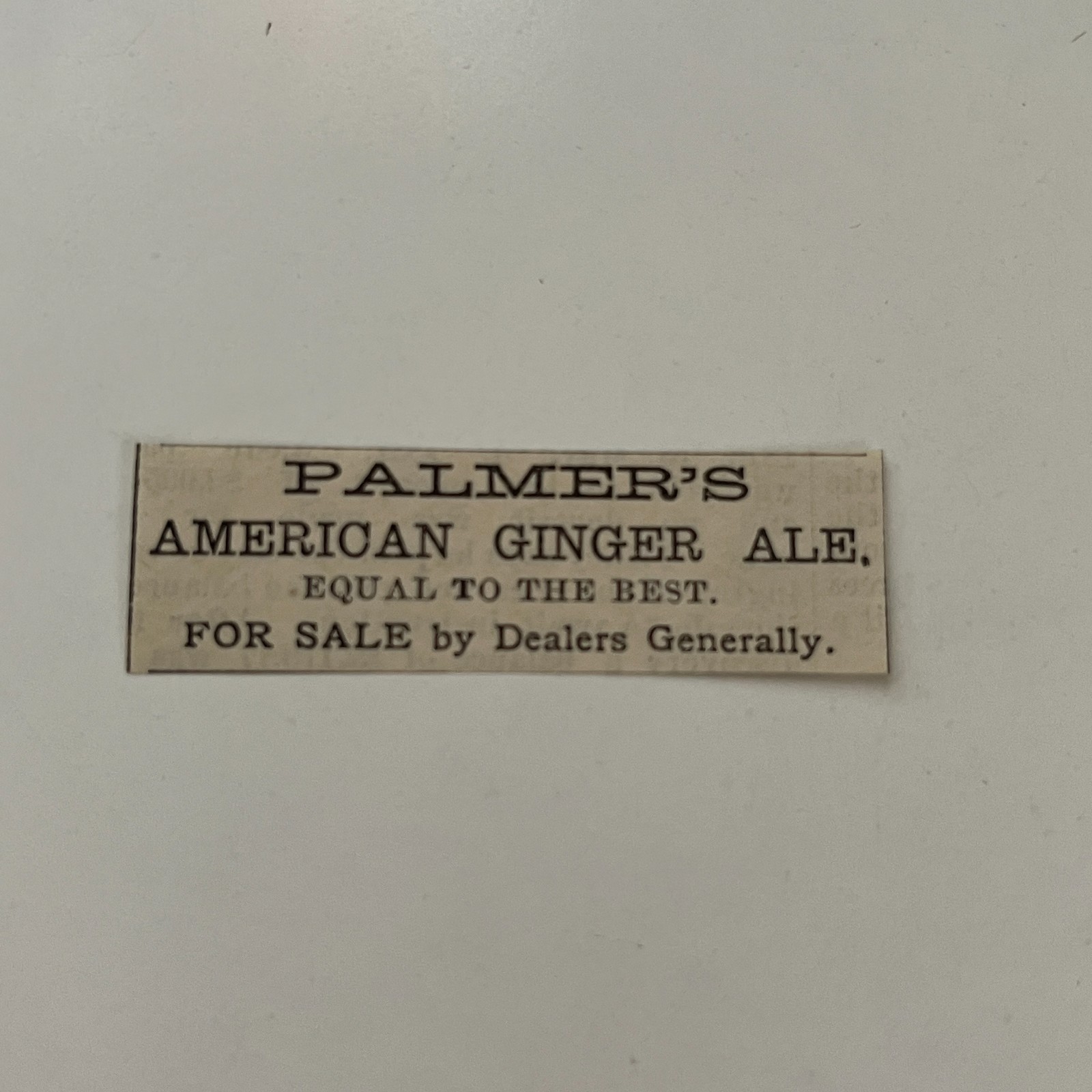 Palmer\'s American Ginger Ale For Sale 1881 Washington DC Clipping TAJ8-S41
