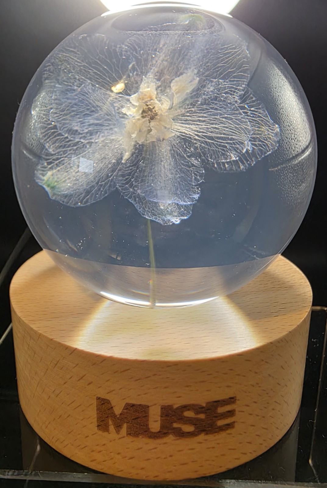 BTS Jimin 'MUSE' Flower Paperweight With Box