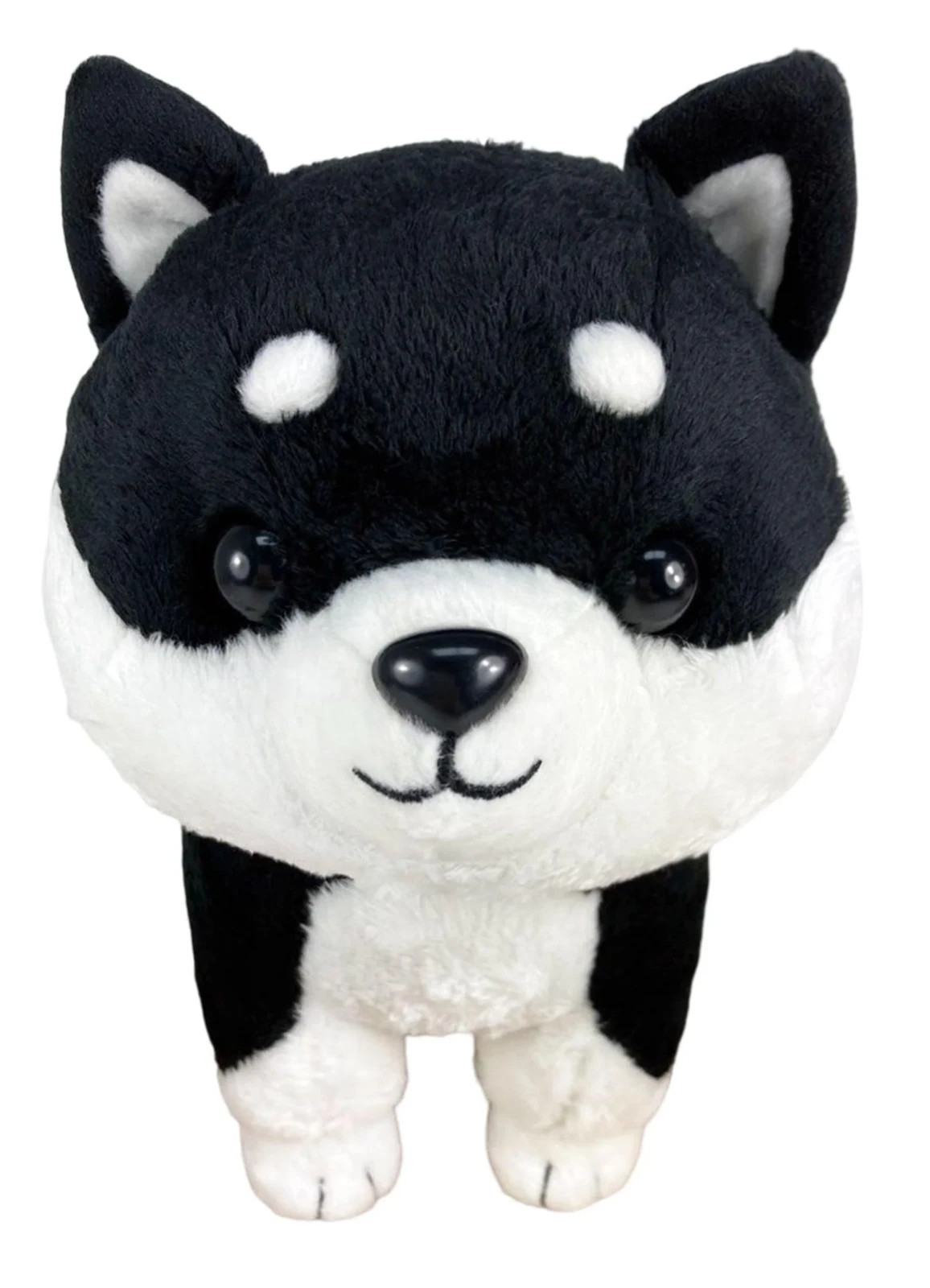 Japanese Black Shiba Inu 10\