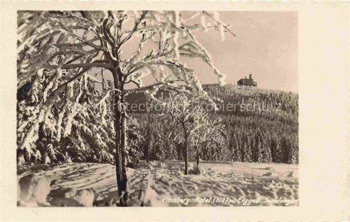Plessberg Plesivec Abertham CZ Plessberg Hotel Erzgebirge Snow Trees Winterla