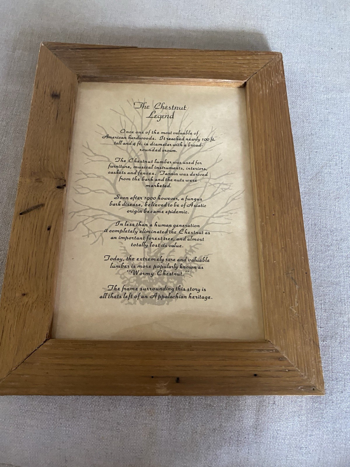 The Chestnut Legend In A Solid Wood Wormy Chestnut Frame 12x9 In.