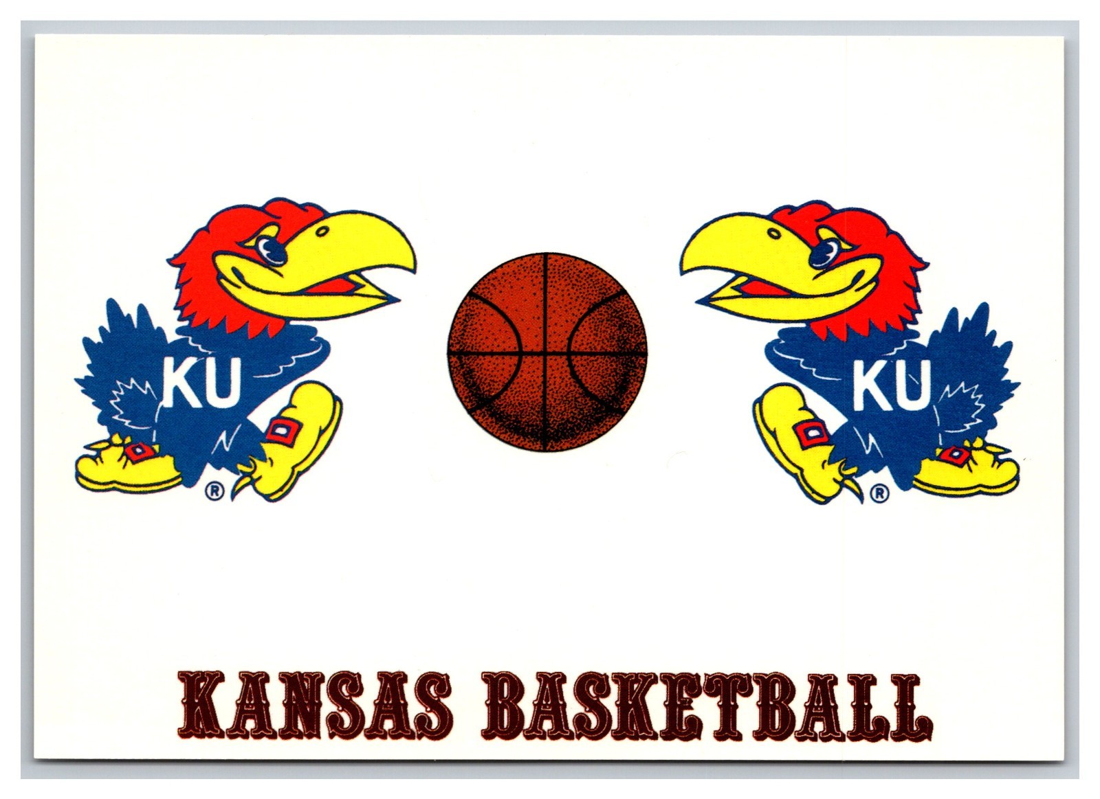 Kansas Basketball KU Jayhawks Lawrence Kansas Postcard Continental View