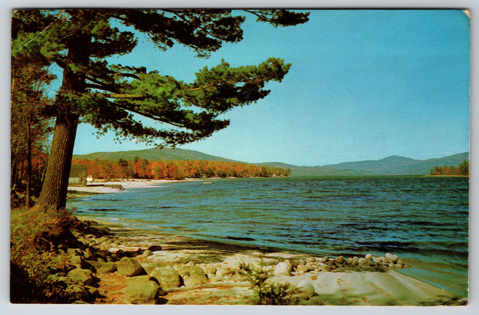 c1950s Greetings From WIlliams Minnesota Serene Lake View Vintage Postcard