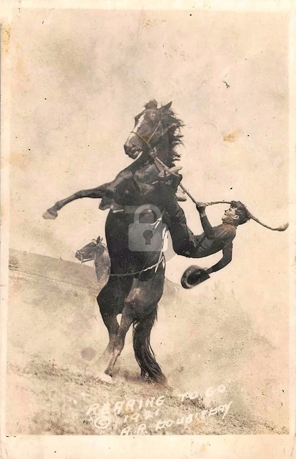 Hardin MT Montana Cowboy on Horse 