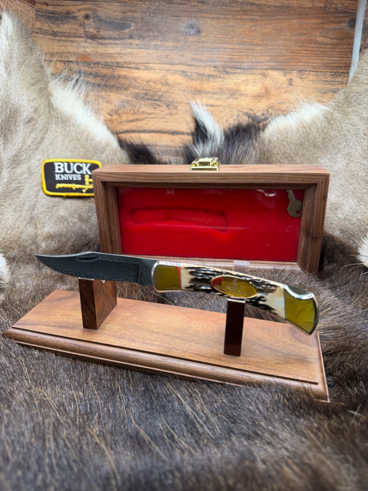 1996 Buck BCC 110DM Knife With Stag Handle & Damascus Blade Mint In Display Case