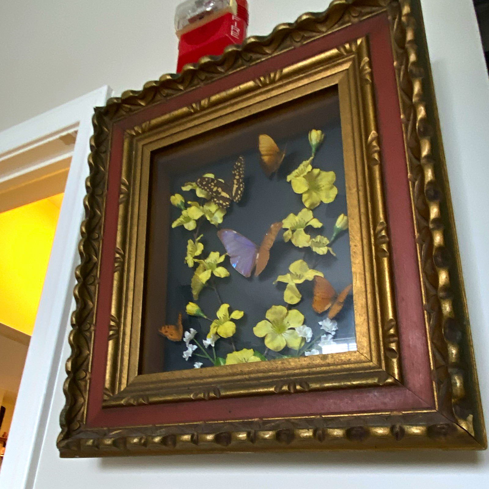 Antique Framed Butterfly Display Shadow Box Wall Art Picture Frame, Gold Frame