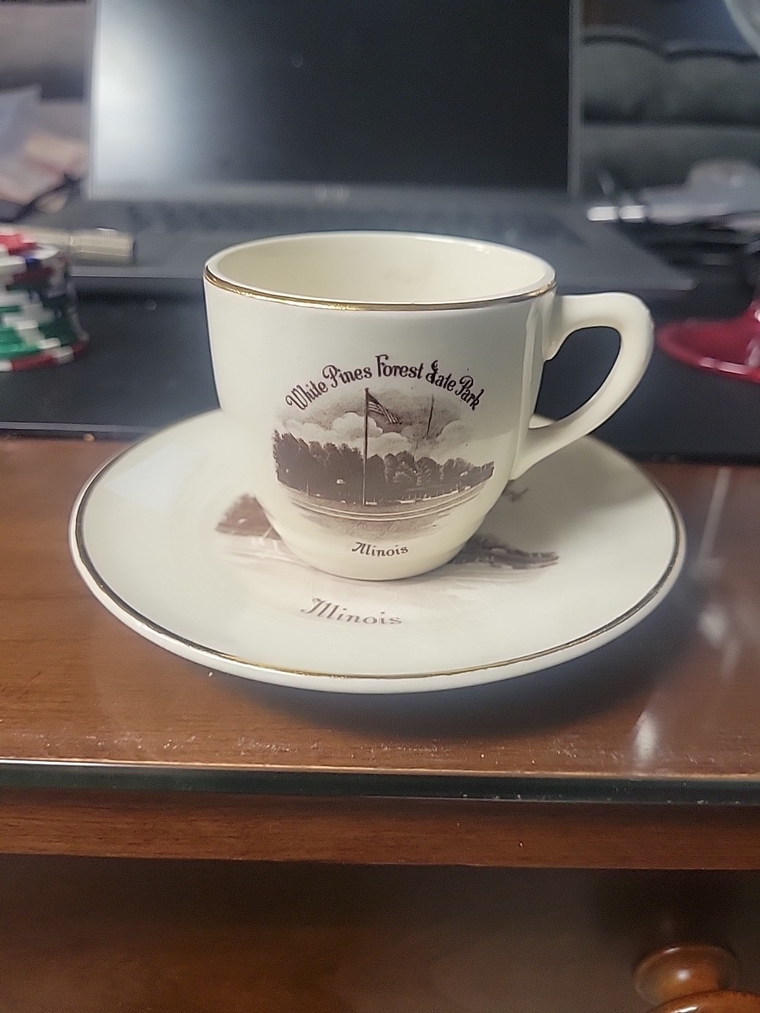 White Pines Forest State Park Illinois Vintage Cup And Saucer Souvenir