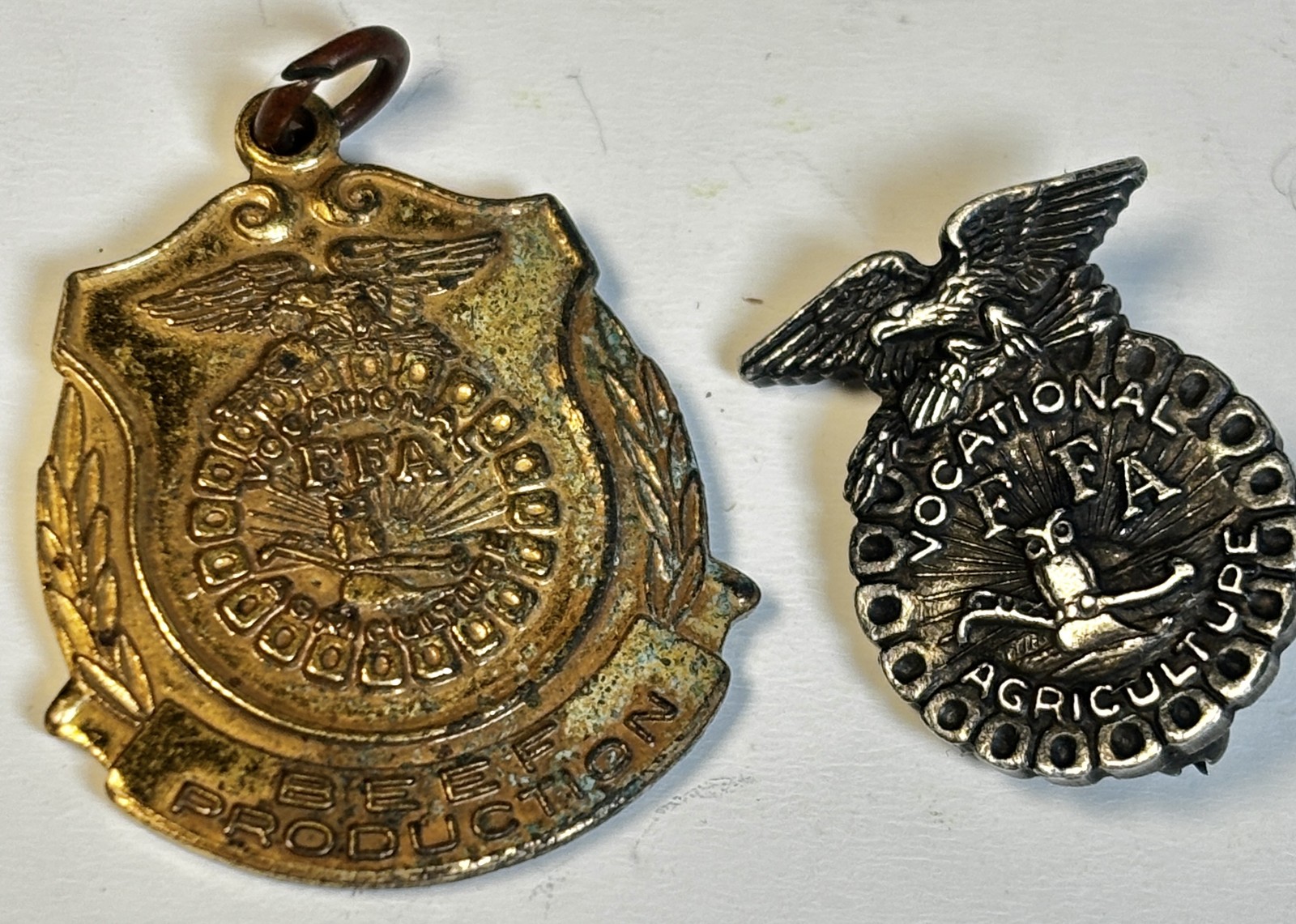 Vintage FFA Future Farmers of America (FFA) Award Pins Agriculture - Lot of 2