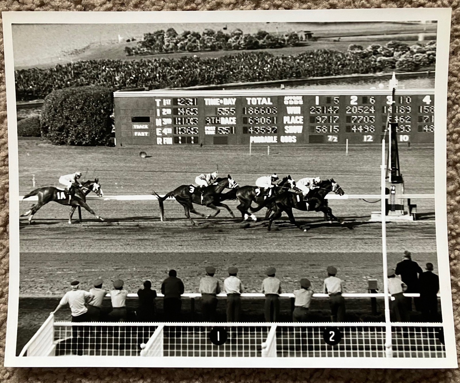 Vtg 1960's Original B&W Photo Hollywood Park Horse Race Track Inglewood CA 8x10