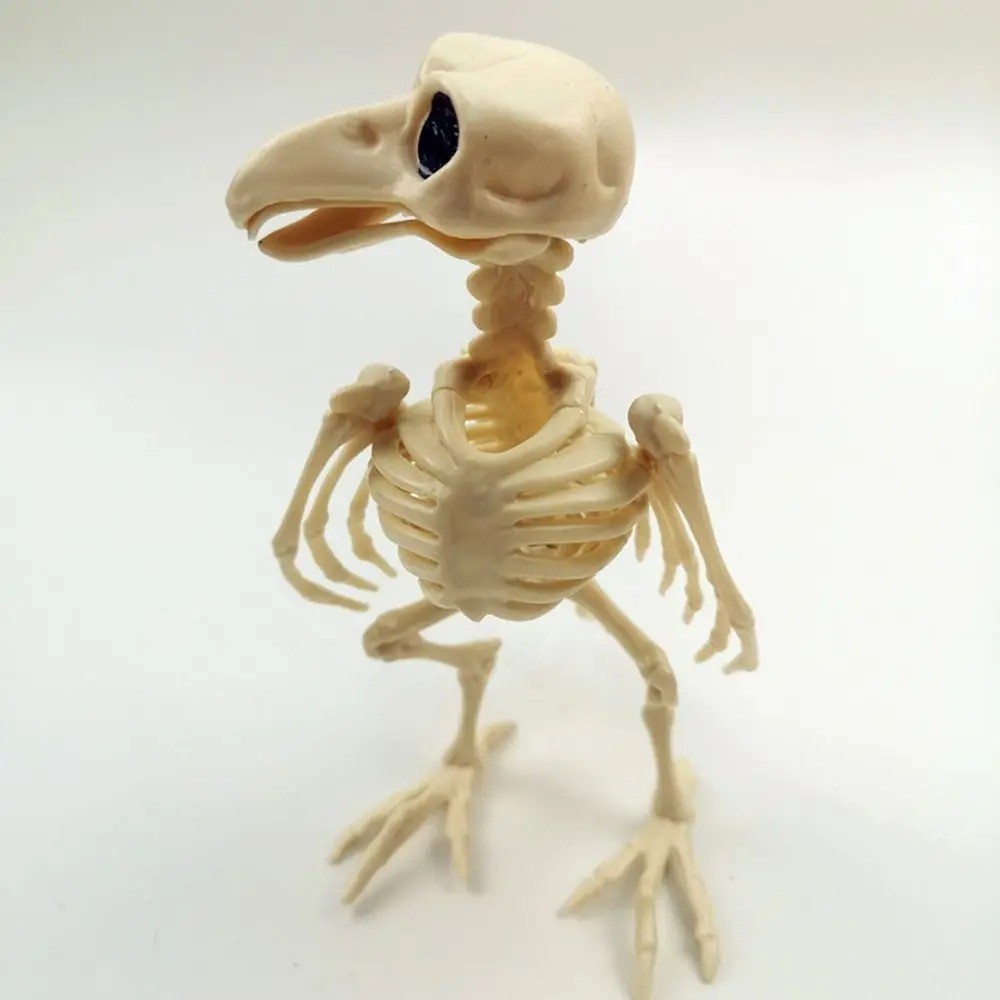 Horror Raven Crow Skeleton Halloween Plastic Animal Bones Haunted House Party Ho
