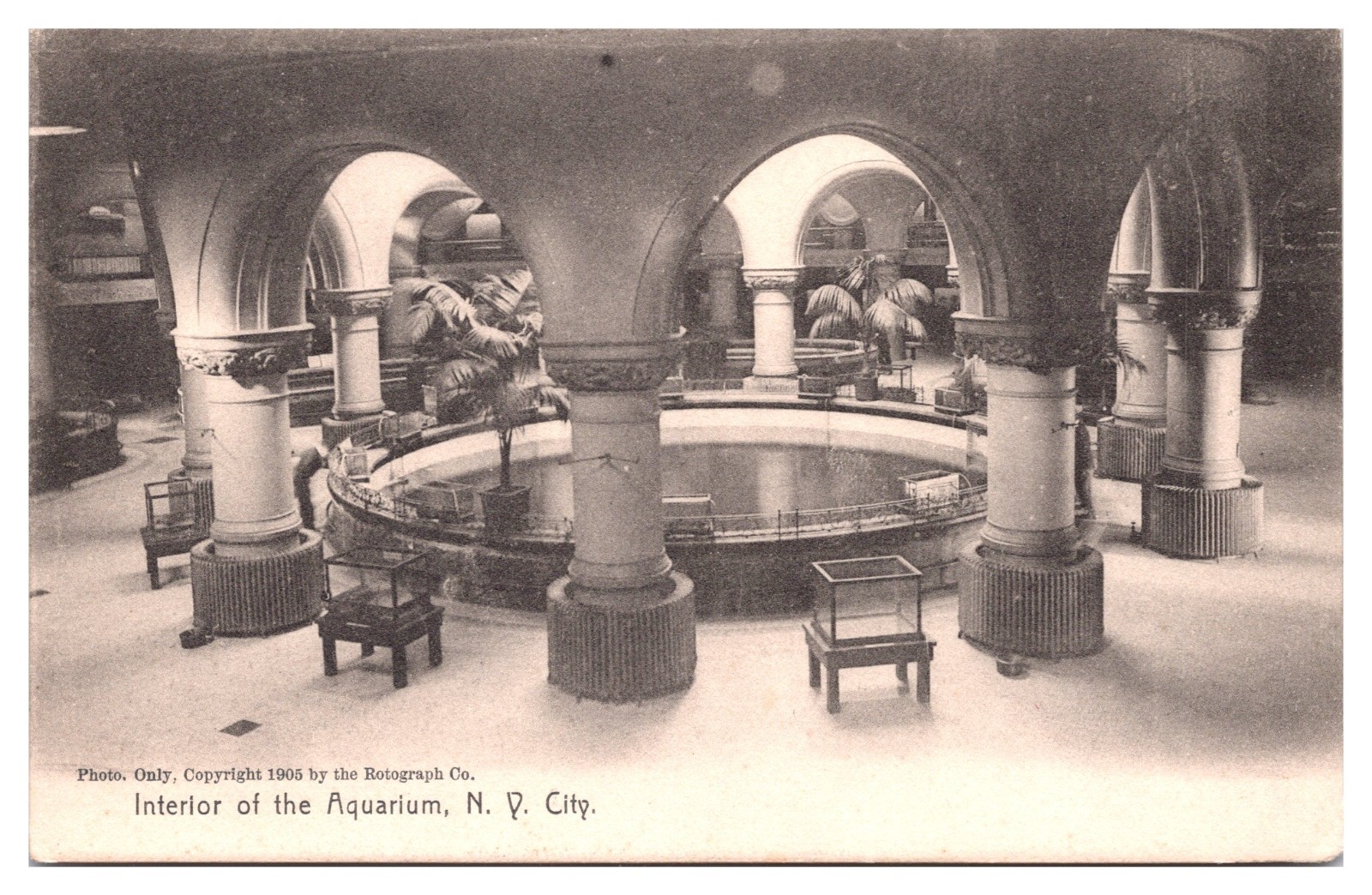 ANTQ Interior of the Aquarium, New york City, NY Postcard