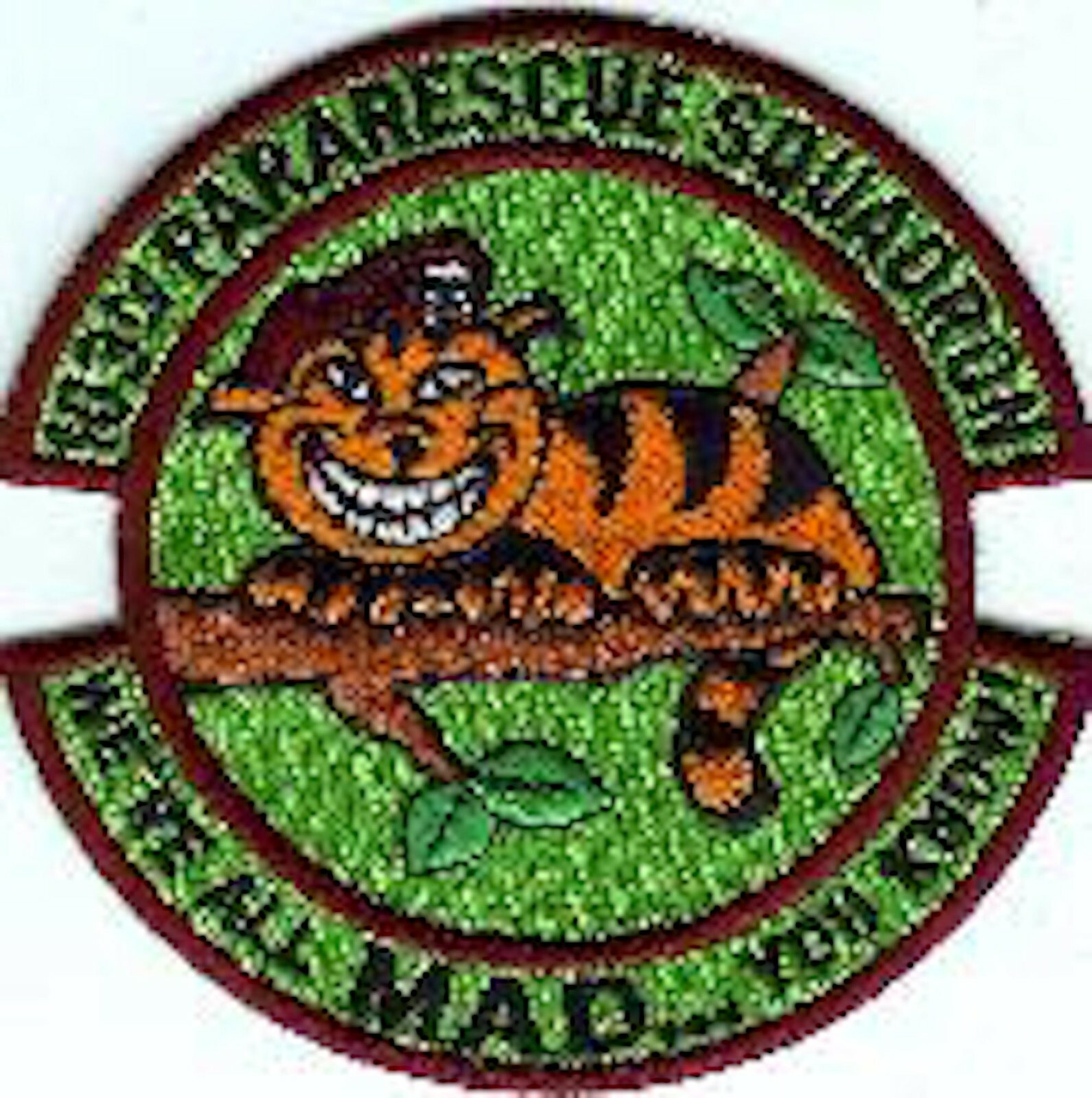 USAF AIR FORCE 103RD PARARESCUE SQUADRON GREEN EMBROIDERED JACKET PATCH