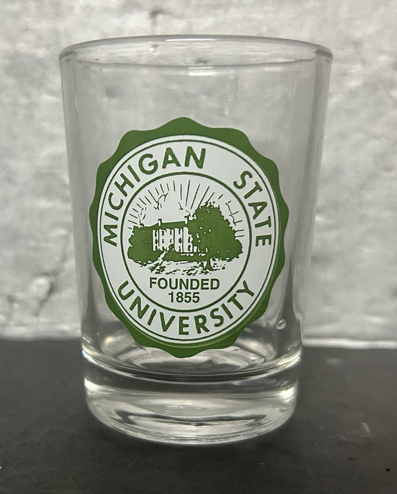 Vintage Libbey Michigan State University Shot Glass 4 oz Barware Spartans