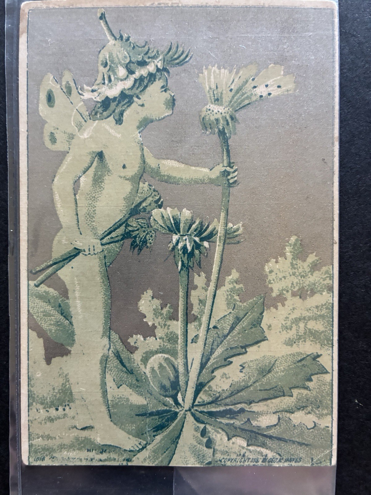 ⁠1881 Geo M Hayes Silvered Trade Card Fairy Dandelion Sprite Rockford IL Shoes⁠