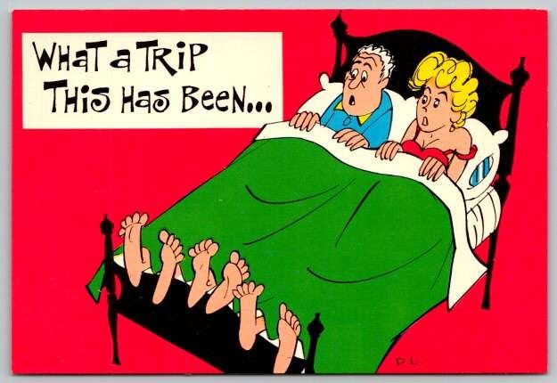 What a Trip This Has Been --- Comic, Humor Postcard