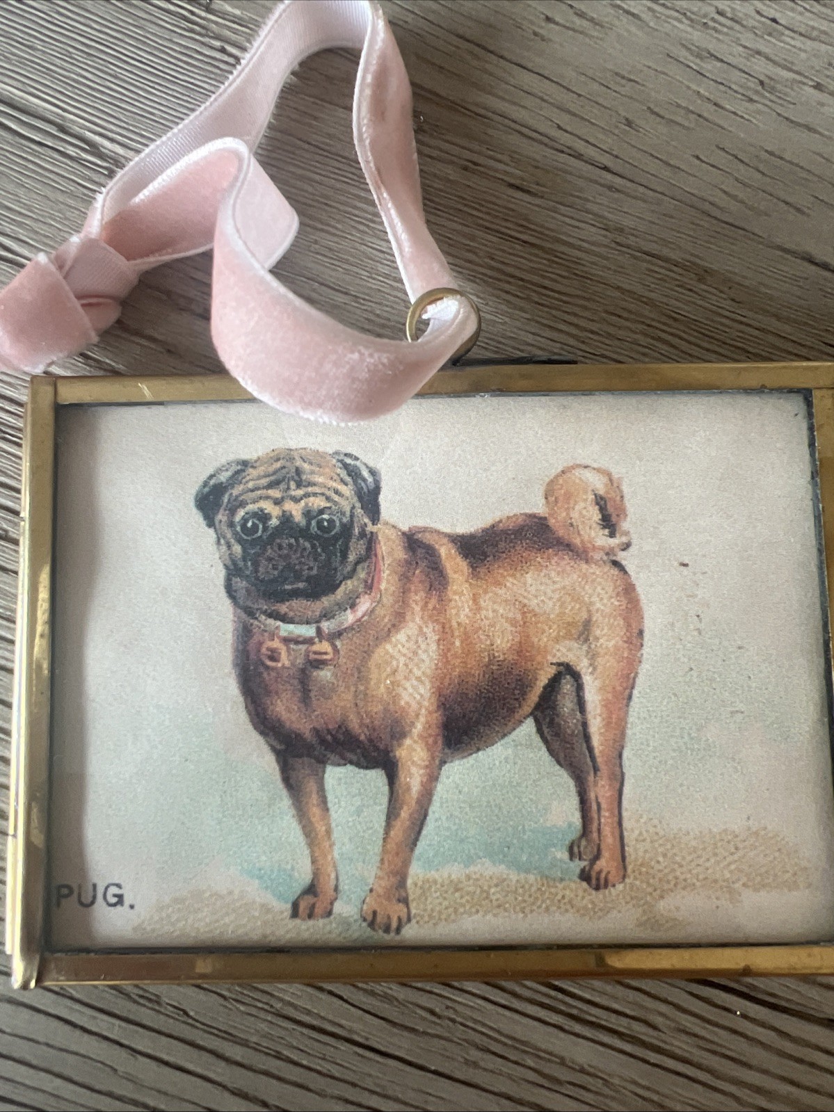 Vintage Style Glass/Brass Frame with Golden/Pug Dog Print