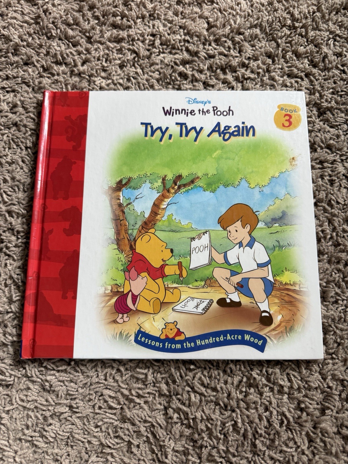 VINTAGE Disney Winnie the Pooh Lessons Hundred-Acre Wood Book Lot #3-14,16 (2000