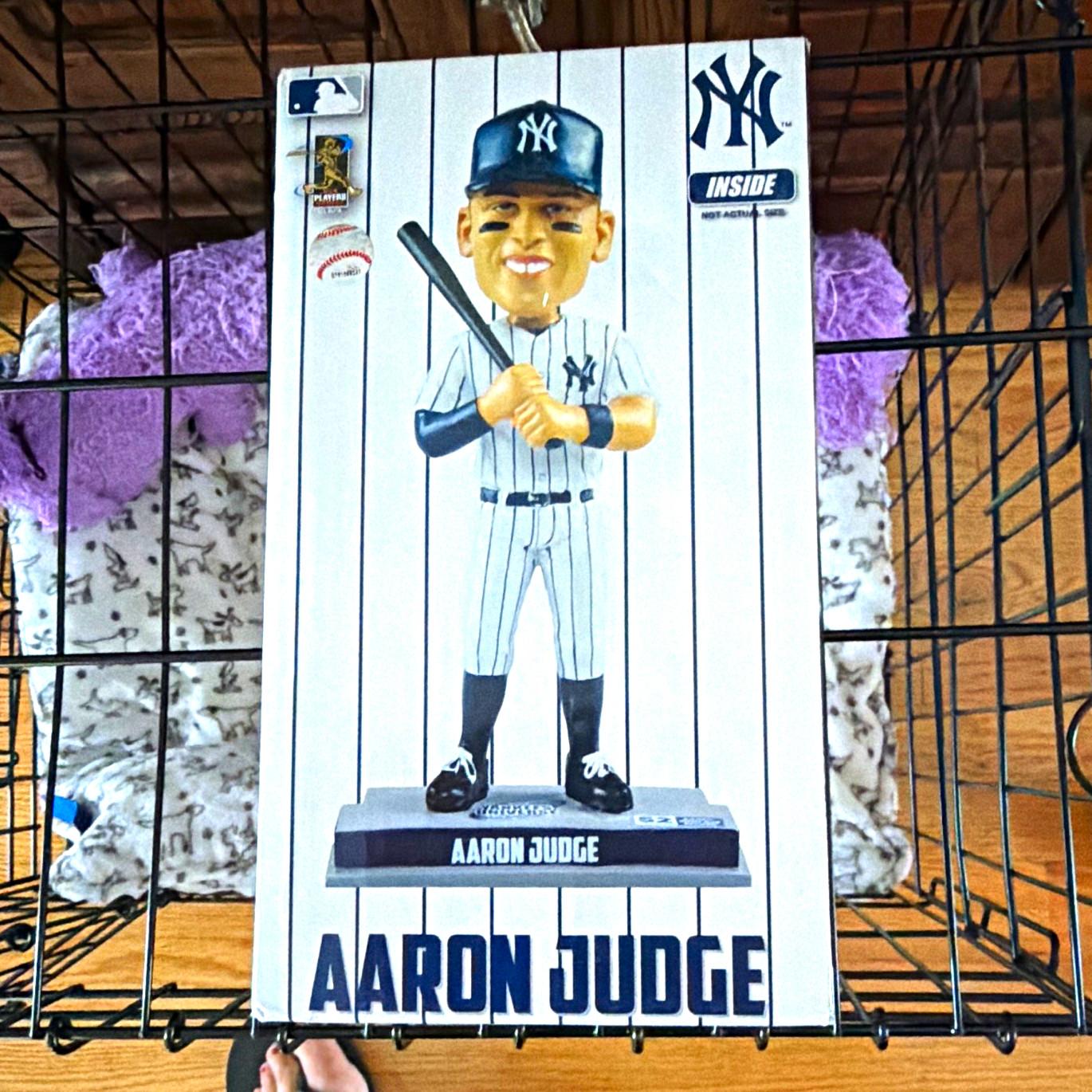 Inside the Park Collectibles Aaron Judge NY Yankees MLB Plastic Bobblehead