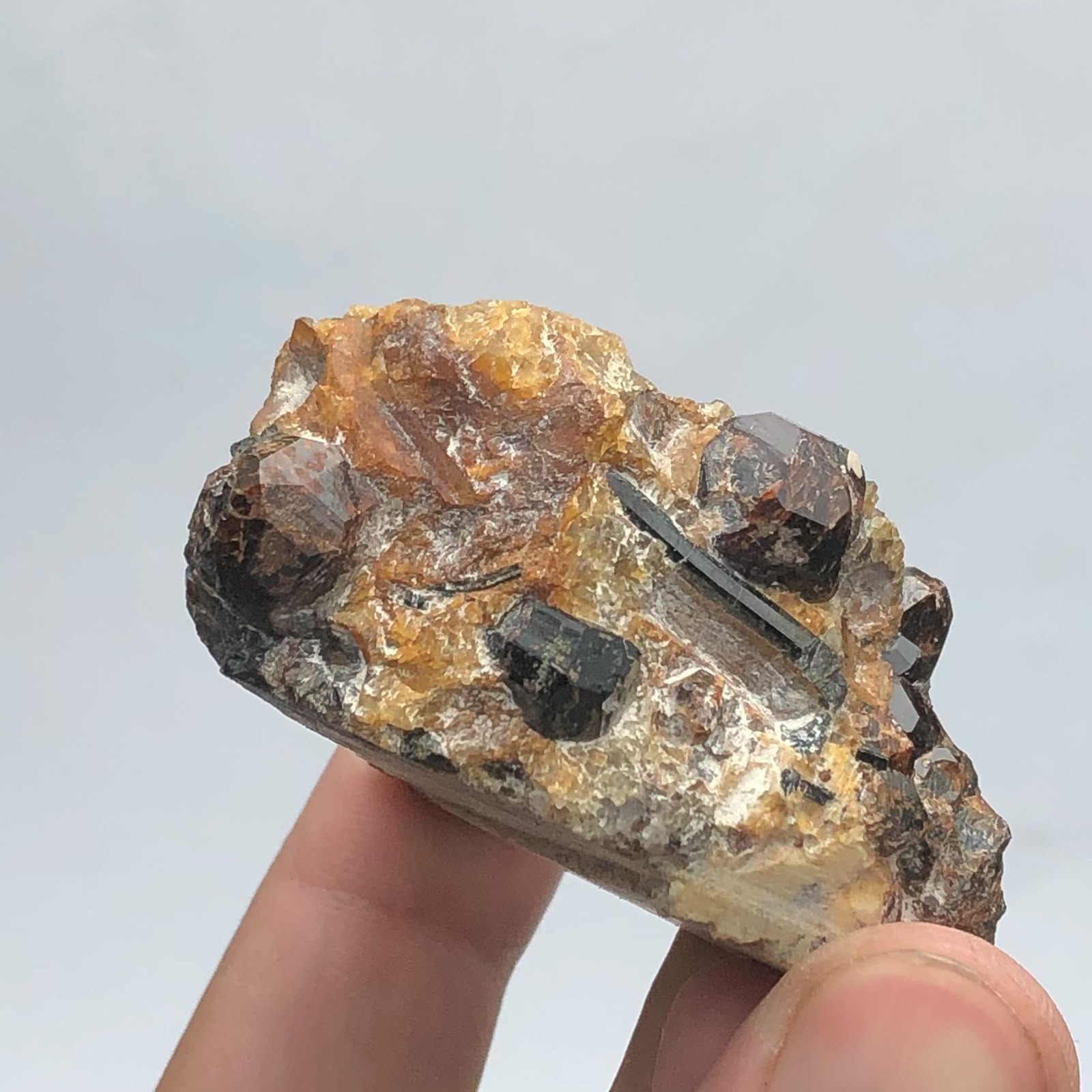 Red Garnet & Black Tourmaline on Matrix – Unique Face-Shaped Natural Mineral Spe