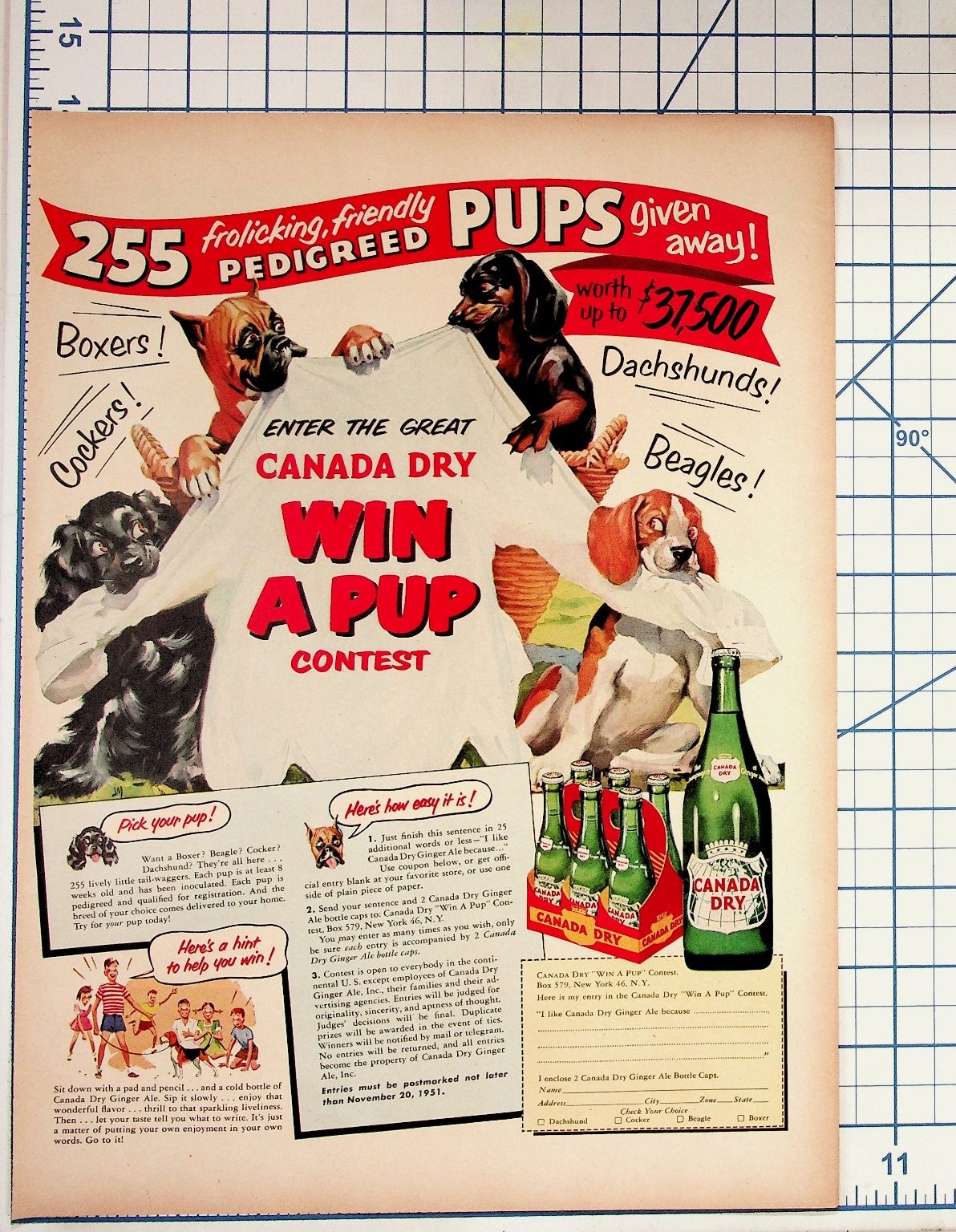 1951 Canada Dry Win A Pup Contest Magazine Ad Vintage Dogs Ginger Ale Ephemera 1951 Canada Dry Win A Pup Contest Magazine Ad Vintage Dogs Ginger Ale Ephemera