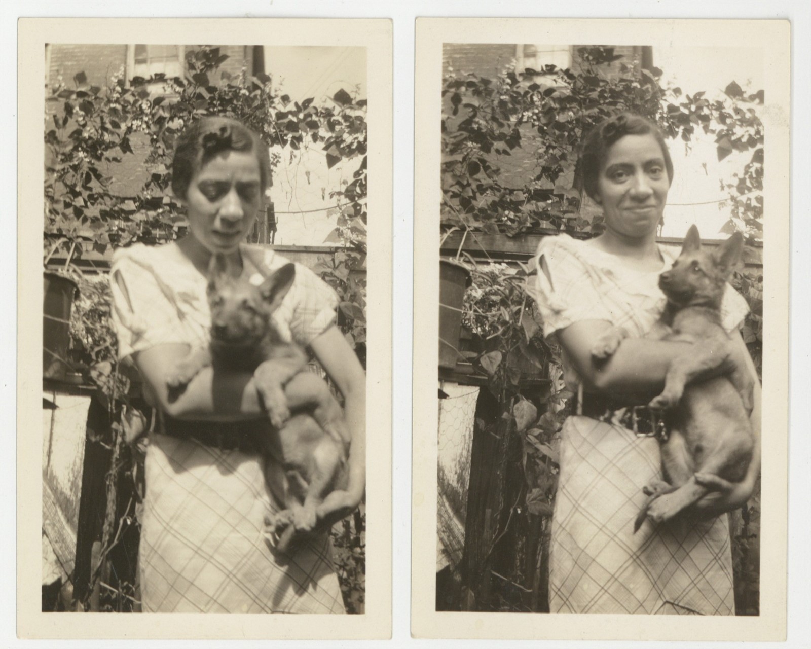African American Woman With Adorable German Shepard Puppy 1930 s/2 Photo Q9741