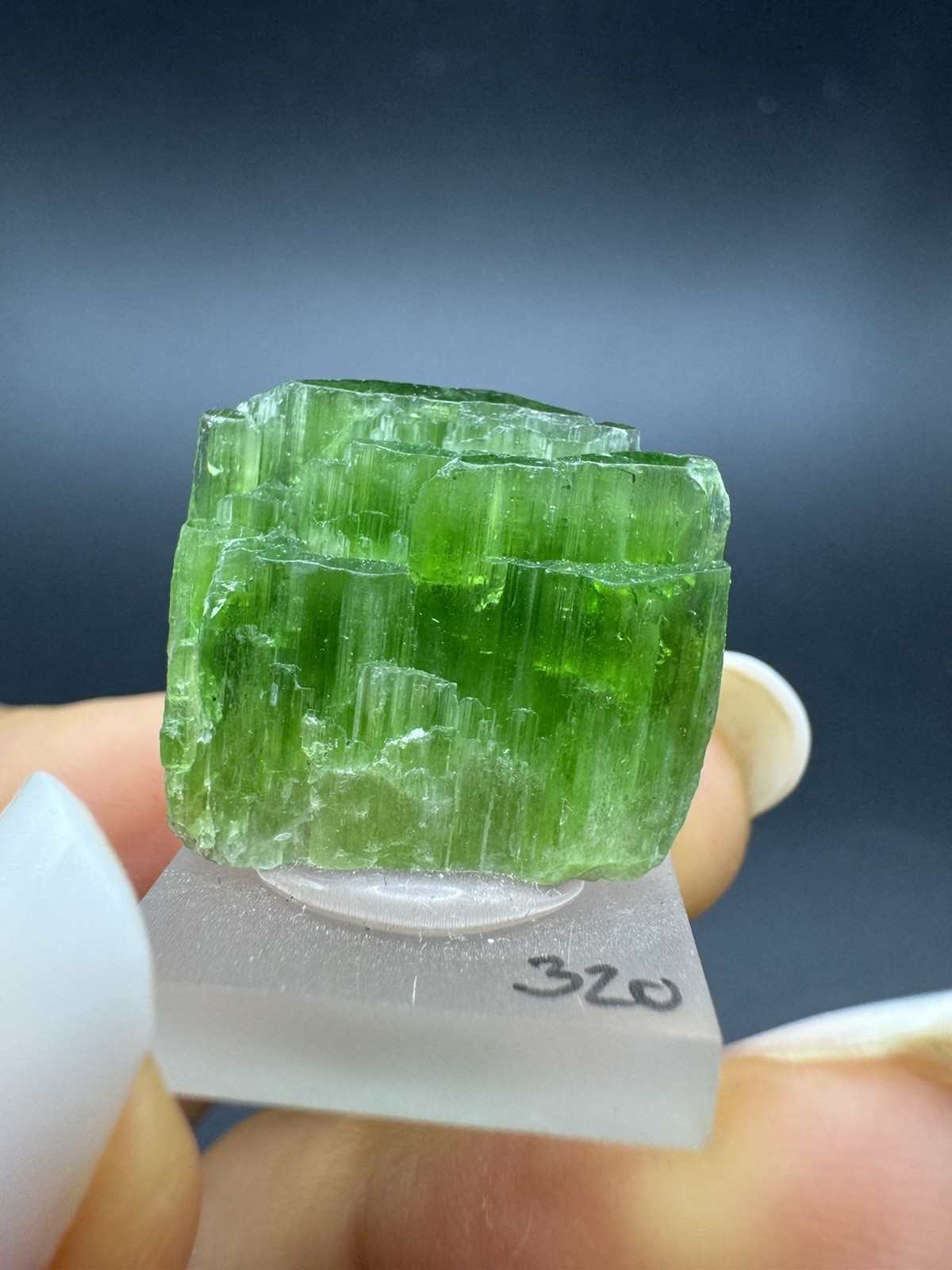 CHROME TREMOLITE Raw Crystal (6gr) Tremolite / Chrome Tremolite Crystal