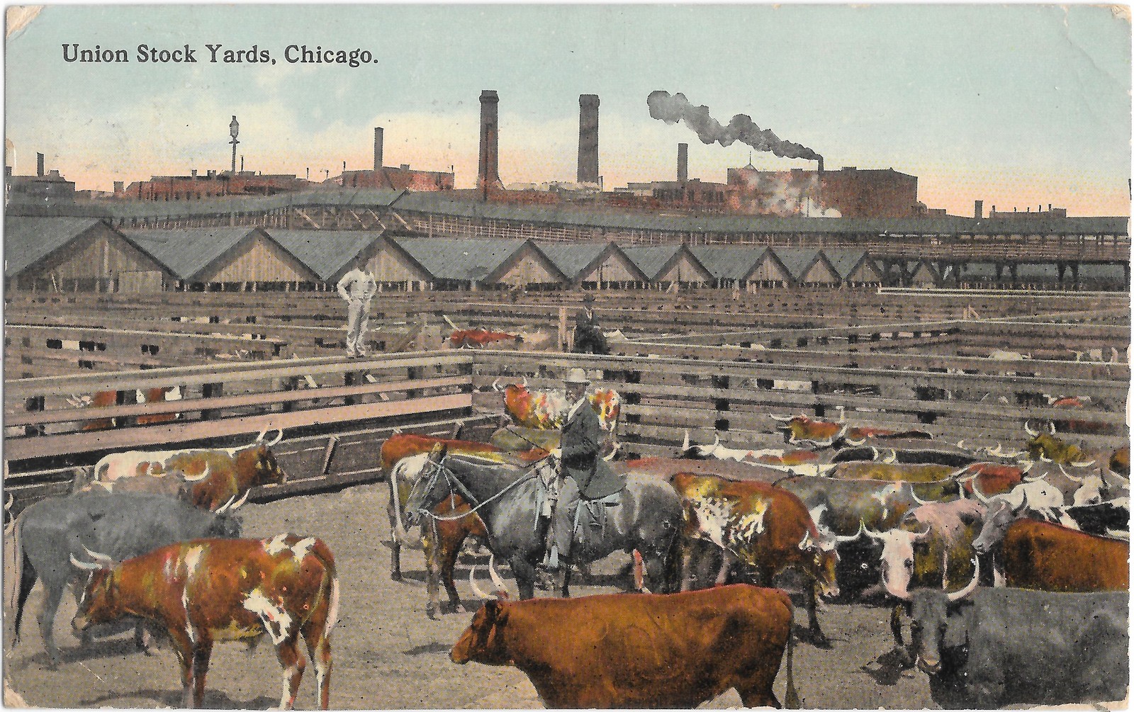 Union Stock Yards Chicago IL Cattle Pens 1913 Postcard Empire Art Co