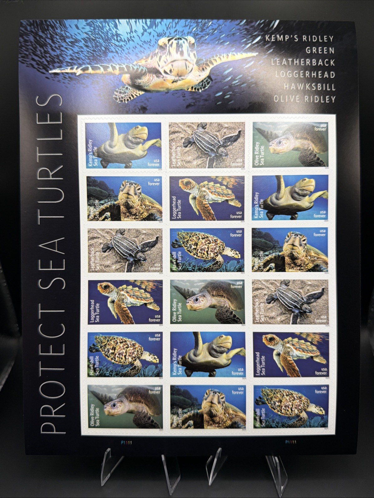 2024 USPS Protect Sea Turtles Forever Stamp Sheet of 18 Collectible Stamps