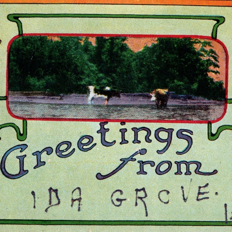 c1910s Ida Grove, IA Greetings Postcard Cattle Cows Stream Art Nouveau Pansies