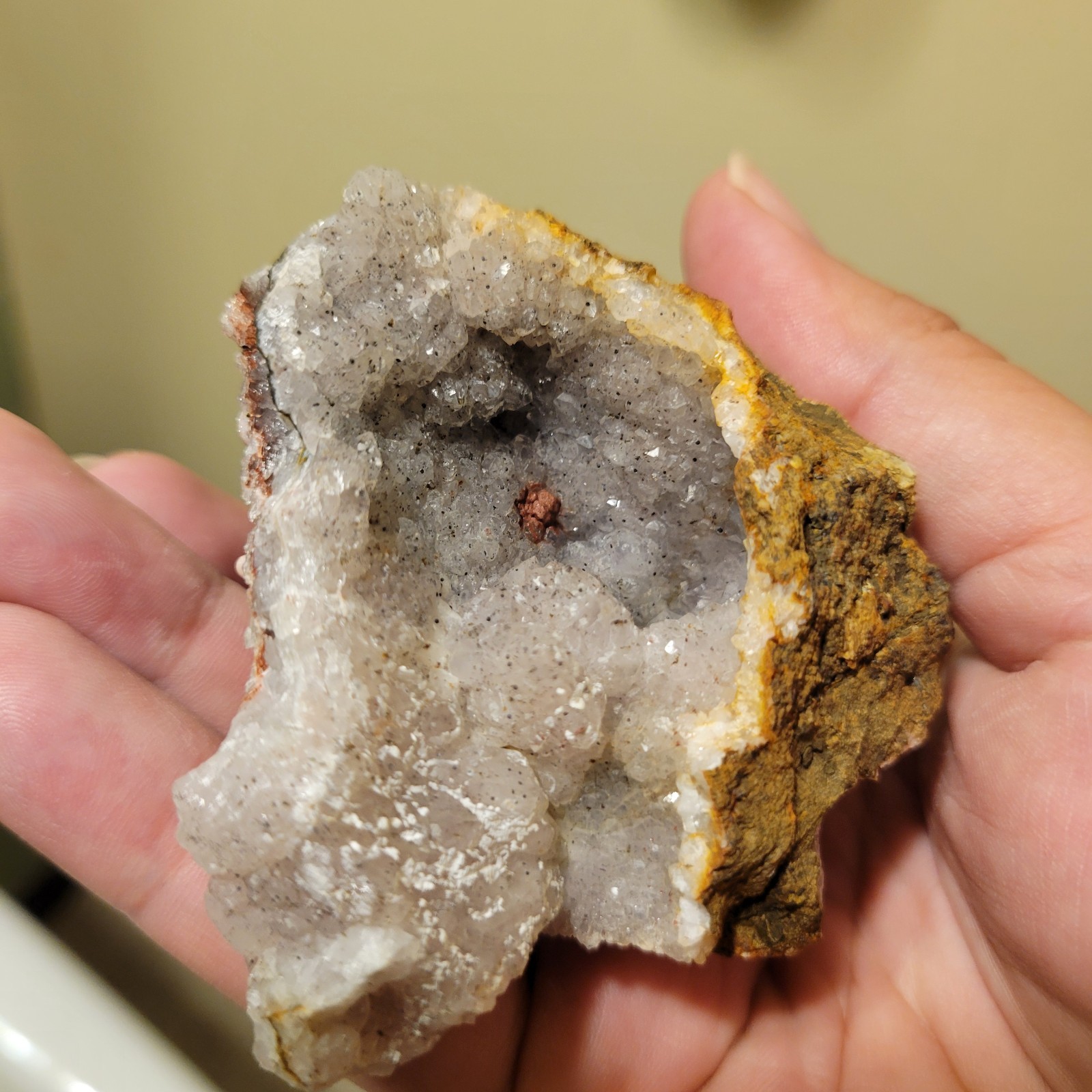 Rare Walker Valley Amethyst Geode Specimen - Skagit Co. Washington Druzy quartz