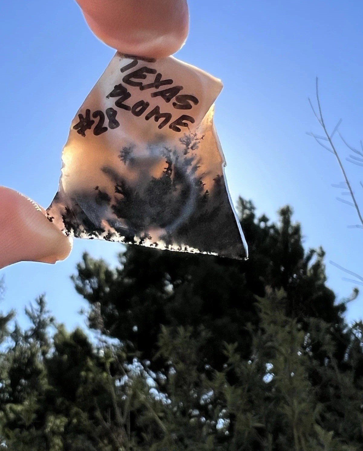Linus Pauling Mineral Collection: Texas Plume Agate Sliced Lapidary Rough Slab