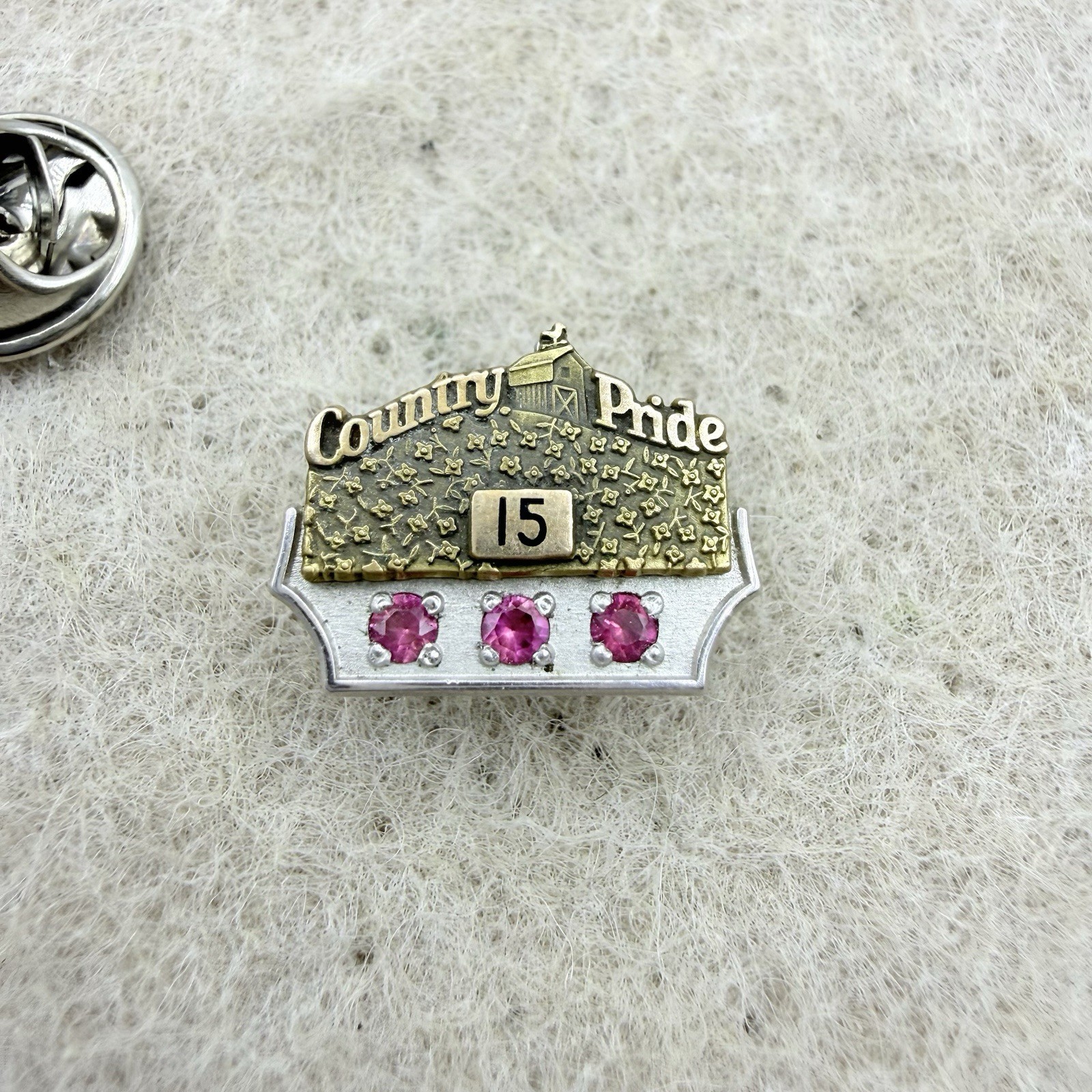 Vintage 1/10 10k Gold Country Pride 15 Year Commemorative Pin Badge 3 Rubies